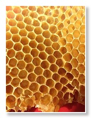 Naturwaben
