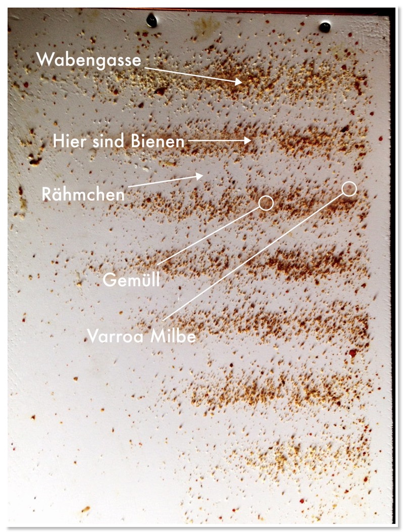 blogEntryTopper