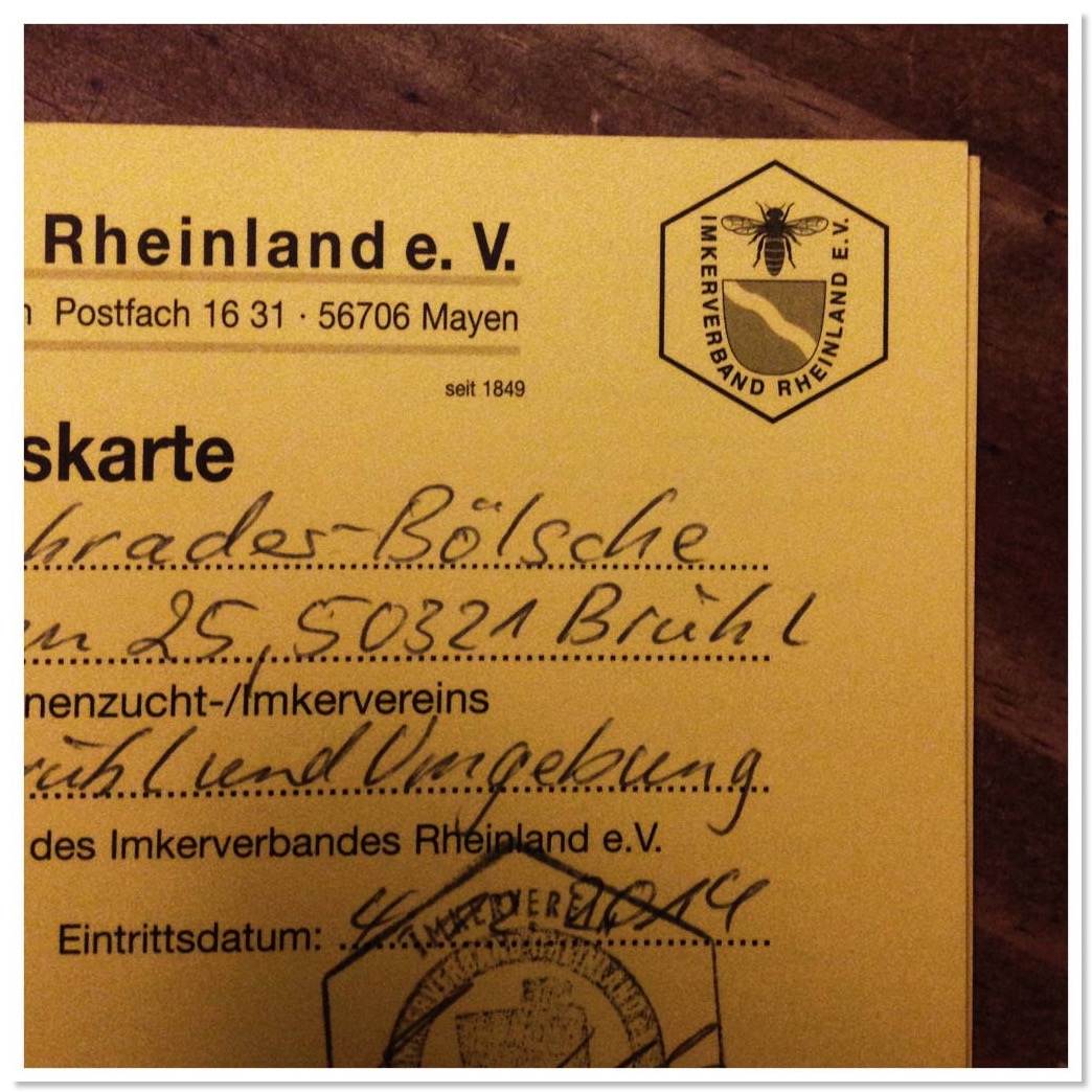 blogEntryTopper