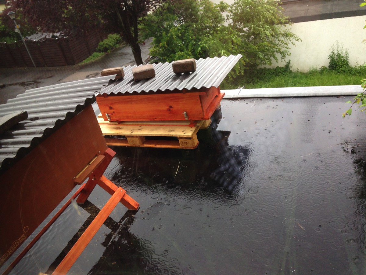 BienenBox & Bienenkiste